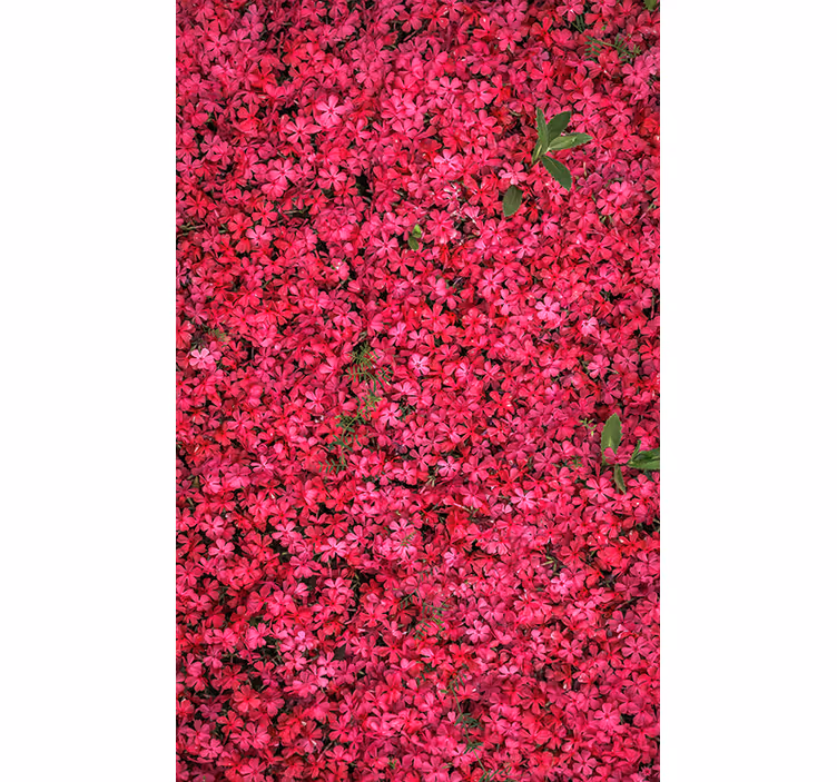 Estores enrollable flores abundancia vibrante - TenVinilo
