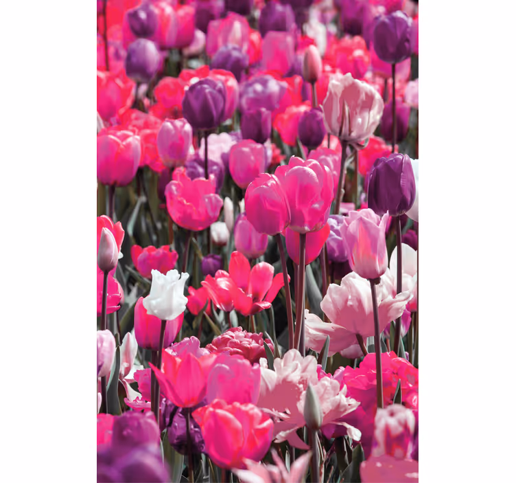 Estor enrollable flores tulipanes morados - TenVinilo