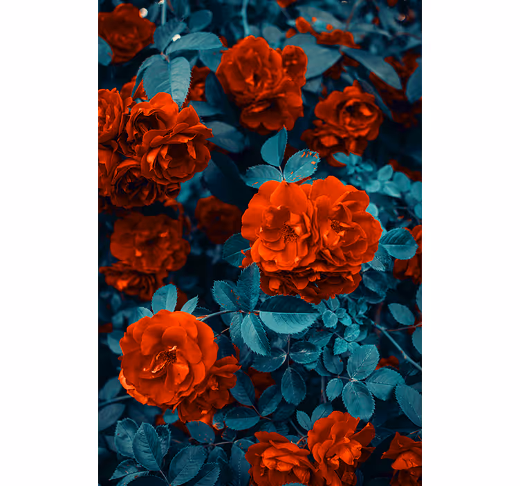 Estores enrollable flores rosas florecientes vibrantes - TenVinilo