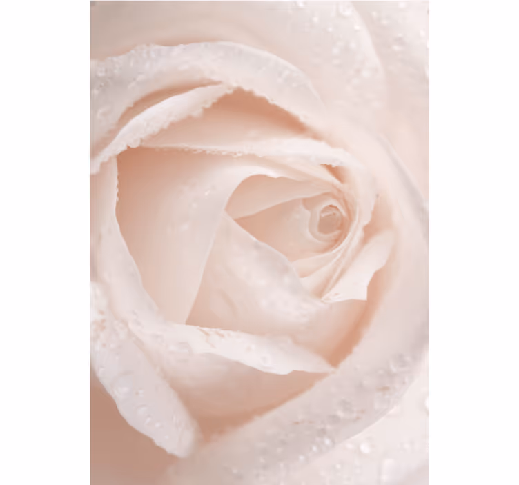 Estor estampado floral delicado pétalo de rosa - TenVinilo