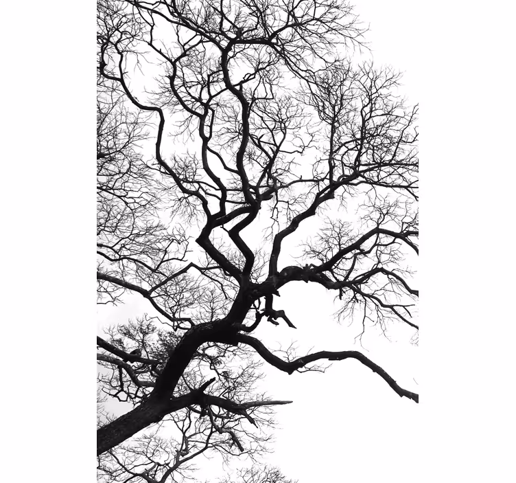 Estor enrollable salón silueta árbol ramas negras - TenVinilo