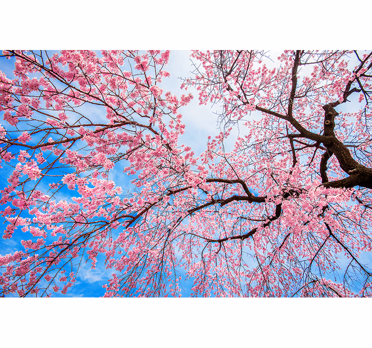Estor enrollable flores rama de sakura - TenVinilo