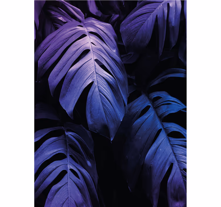 Estores enrollable flores follaje de monstera deliciosa - TenVinilo