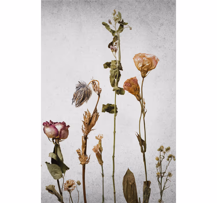 Estores enrollable flores arreglo de flores secas - TenVinilo