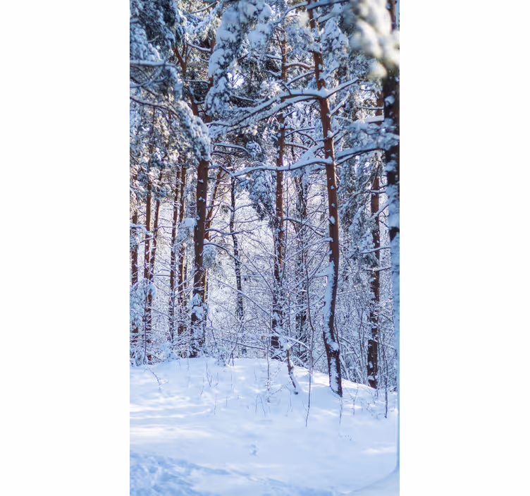 Estor enrollable árboles bosque de pinos nevados - TenVinilo