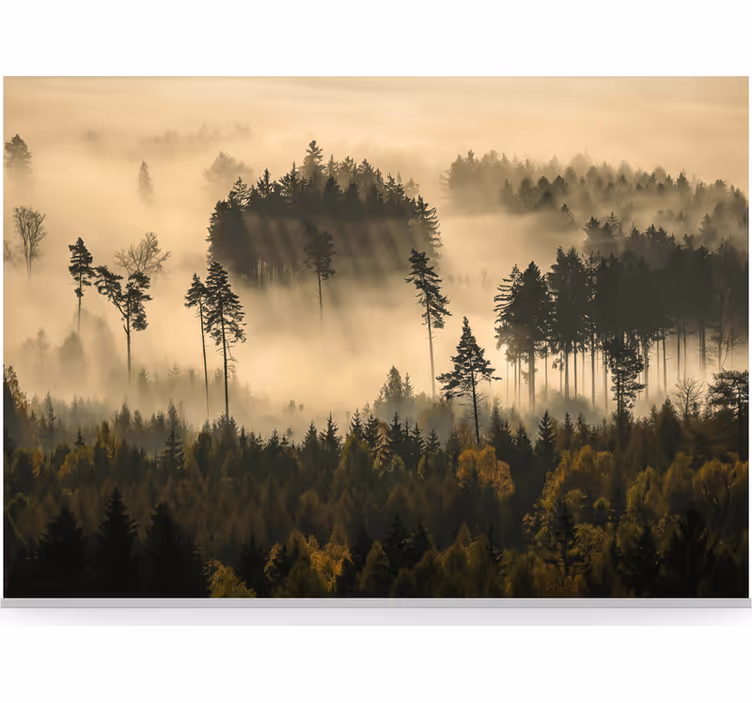 Papel pintado bosque bruma etérea de la mañana - TenVinilo