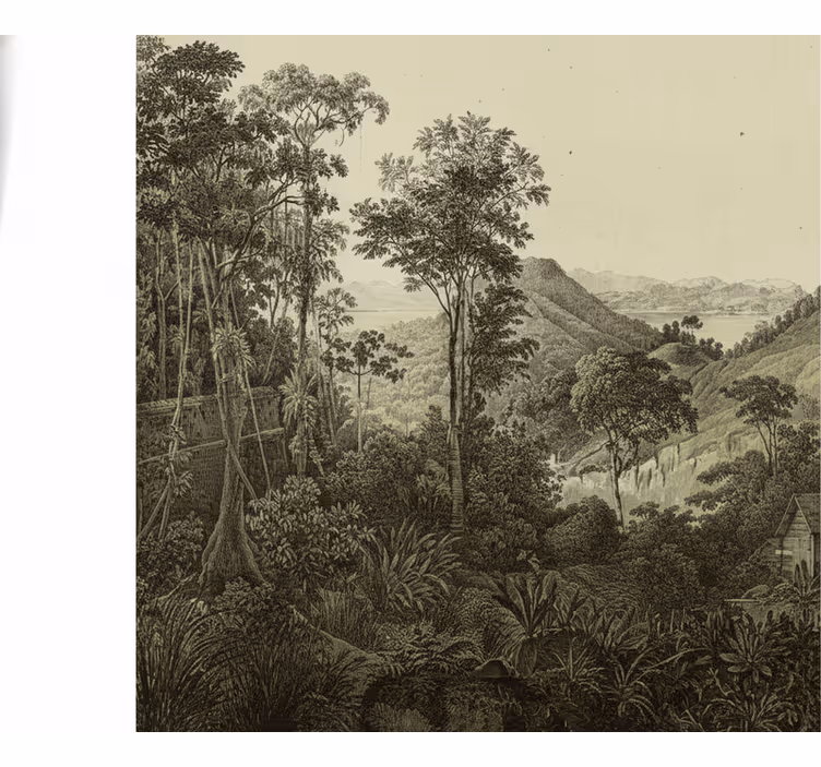 Papel pintado bosque estampado de bosque ondulado - TenVinilo