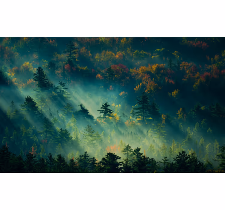 Papel pintado bosque el bosque melancólico - TenVinilo