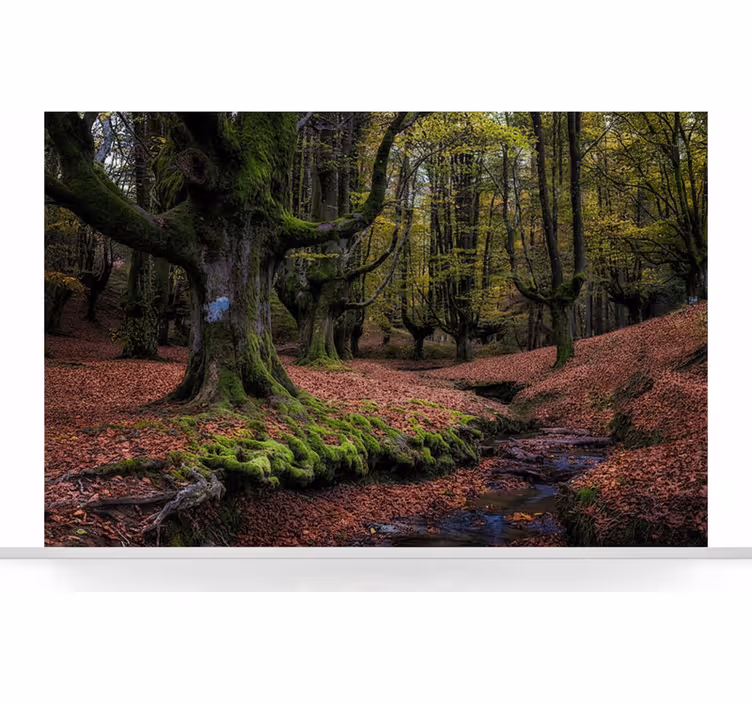 Papel pintado bosque bosque encantado de otoño - TenVinilo