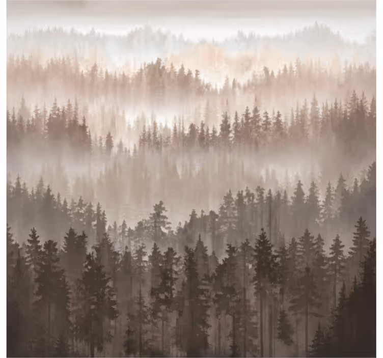 Papel pintado paisaje capas de bosque de madera - TenVinilo