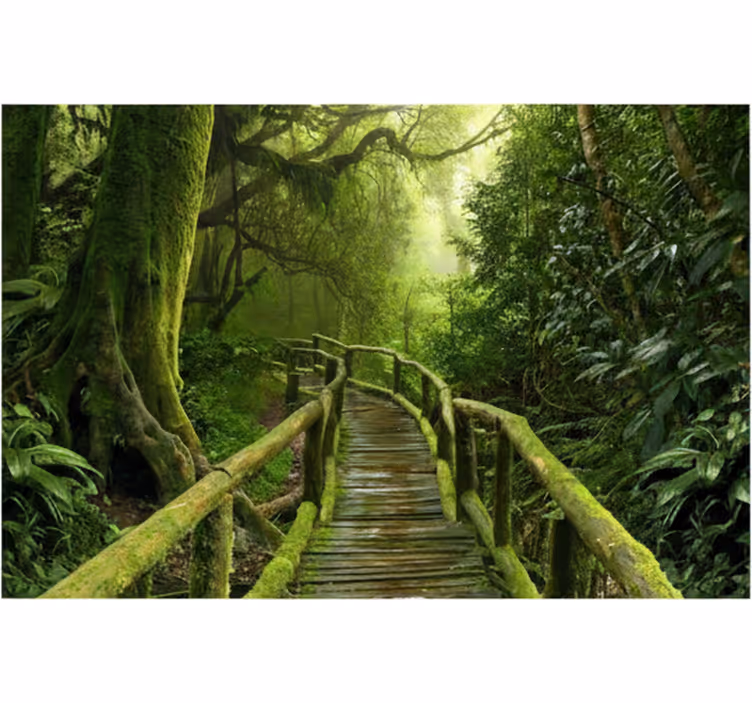 Papel pintado bosque paseo musgoso exuberante - TenVinilo