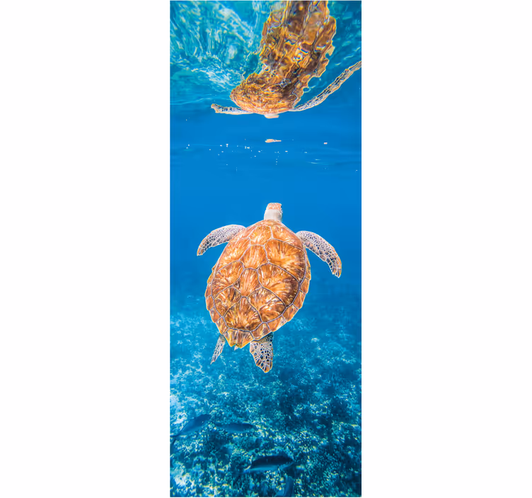 Mural para baño tortuga hermosa bajo el agua - TenVinilo