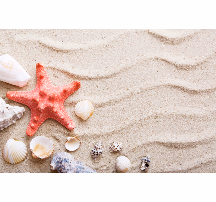 Mural para baño estrellas de mar y conchas en arena - TenVinilo