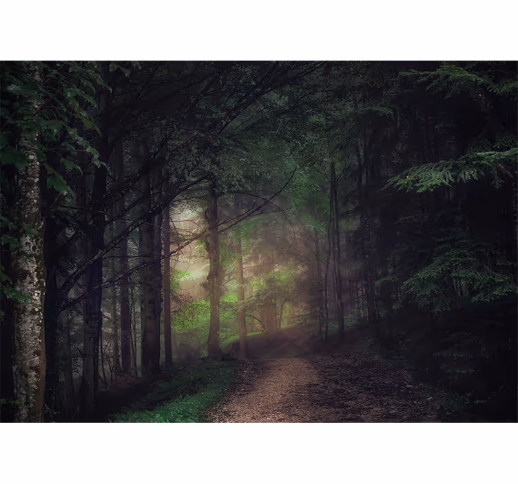 Fotomural para pasillo bosque antiguo - TenVinilo