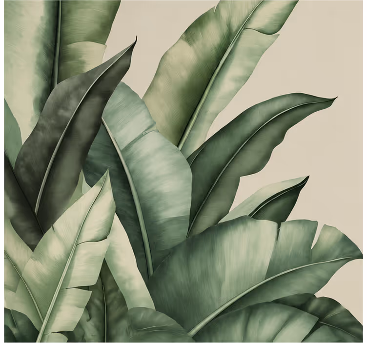 Papel pintado naturaleza hojas de plátano gráficas - TenVinilo