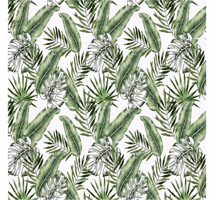 Papel pintado naturaleza hojas de monstera verde - TenVinilo