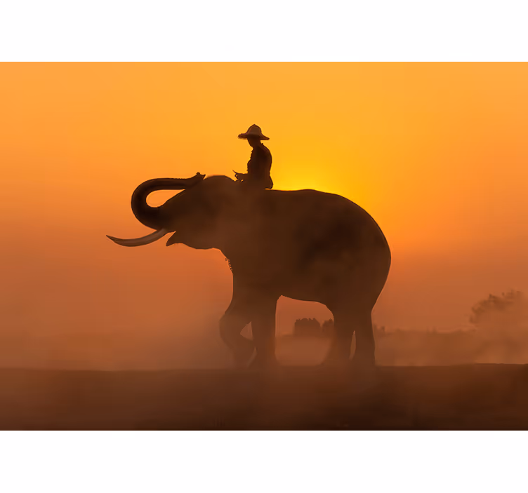 Fotomural pared paisaje Asia con elefante - TenVinilo