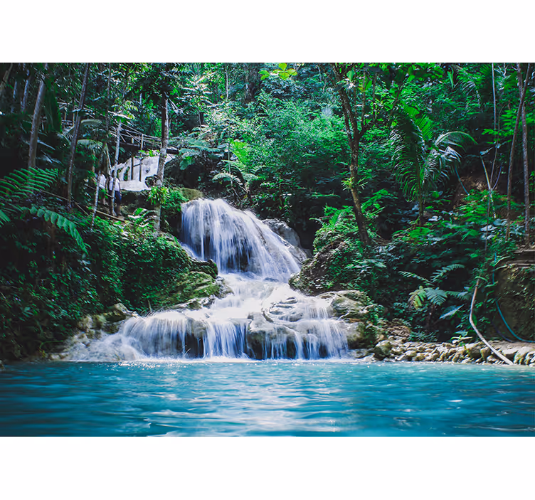 Mural de pared de paisaje bosque tropical para salón - TenVinilo