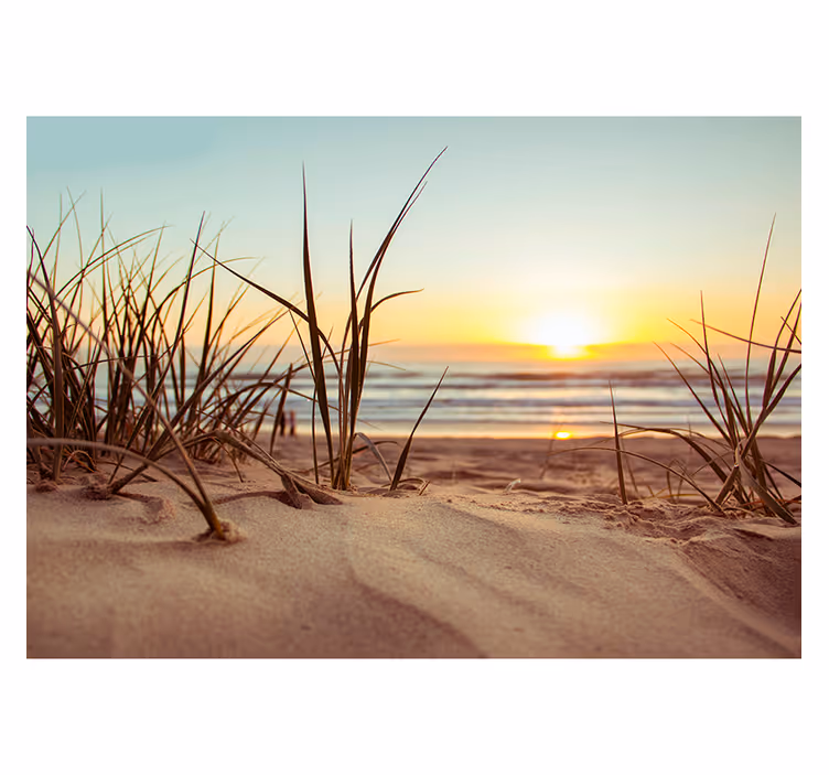 Papel pintado paisaje puesta de sol serena en la playa - TenVinilo