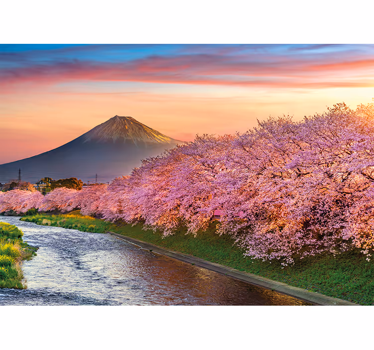 Papel pintado paisaje flores de cerezo del monte fuji - TenVinilo