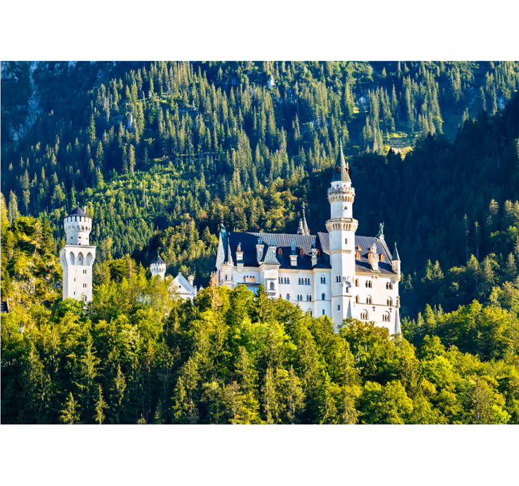 Fotomural ciudad vista del castillo neuschwanstein - TenVinilo