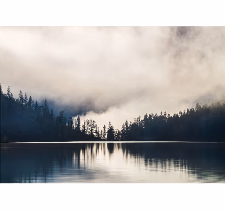 Papel pintado paisaje reflejo en el bosque brumoso - TenVinilo