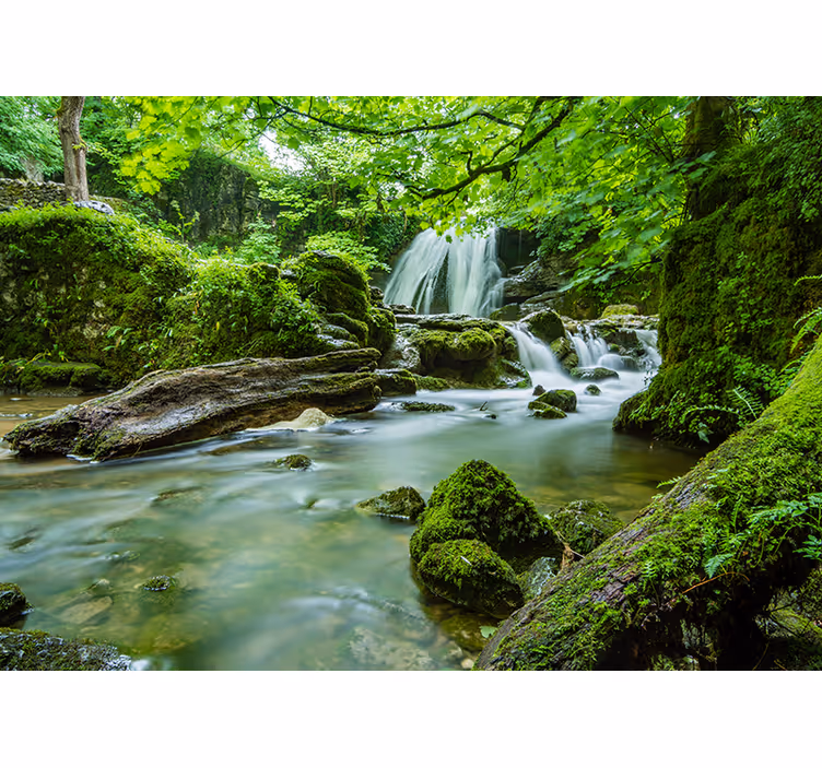Fotomural naturaleza arroyo boscoso tranquilo - TenVinilo