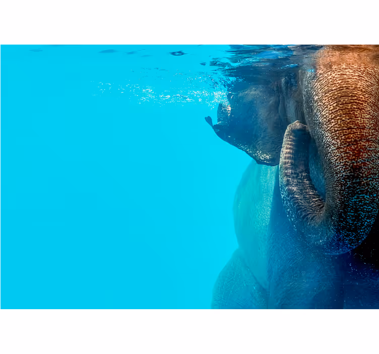 Fotomural animales majestuoso elefante submarino - TenVinilo