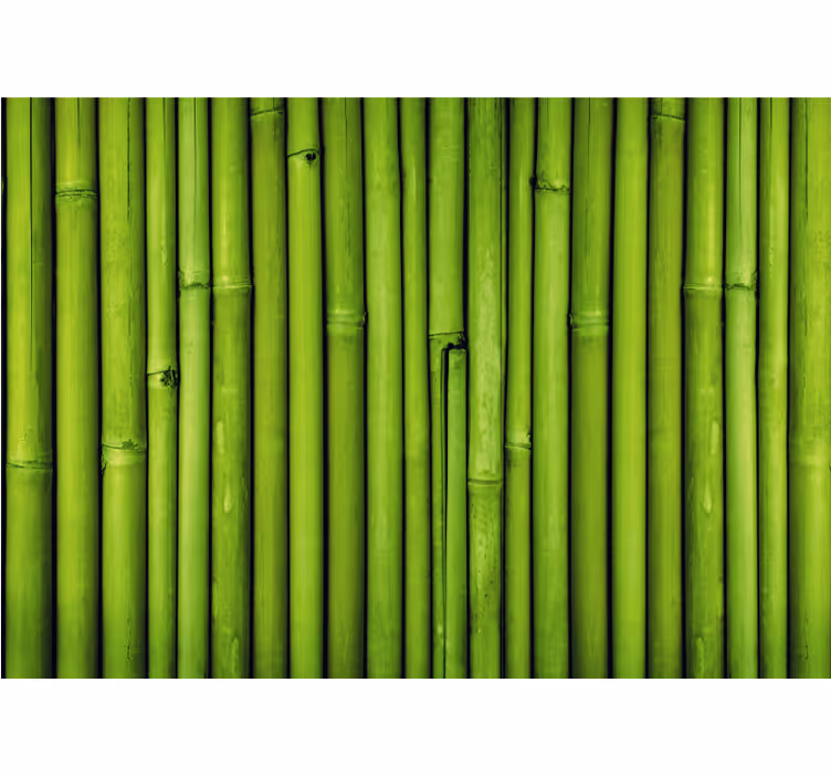 Fotomural bambú tallo de bambú verde - TenVinilo