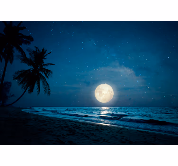 Fotomural naturaleza escena del océano iluminado por la luna - TenVinilo