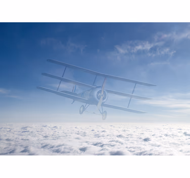 Fotomural vehículo vuelo en avión clásico - TenVinilo