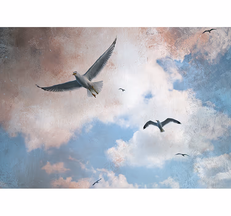 Fotomural animales gaviotas en vuelo - TenVinilo