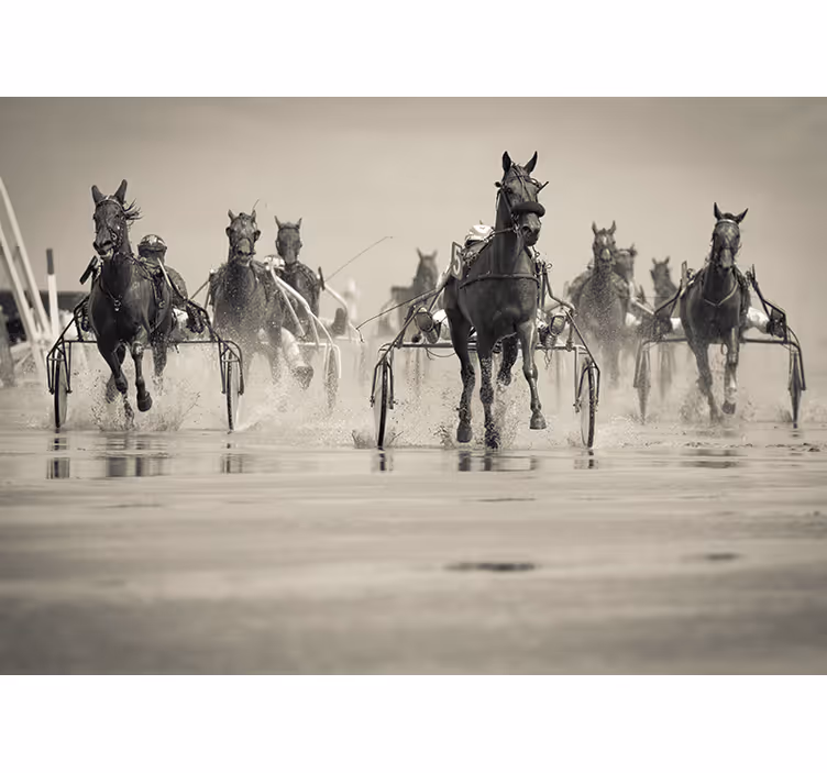 Fotomural animales caballos corriendo juntos - TenVinilo