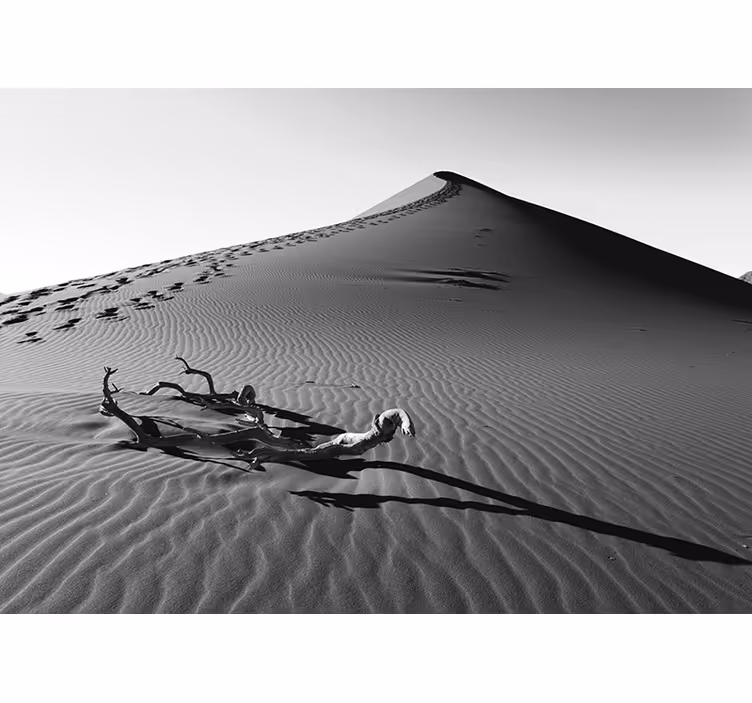 Fotomural desierto huellas en la arena - TenVinilo
