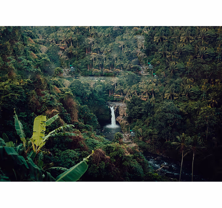 Fotomural naturaleza cascada en la jungla exuberante - TenVinilo