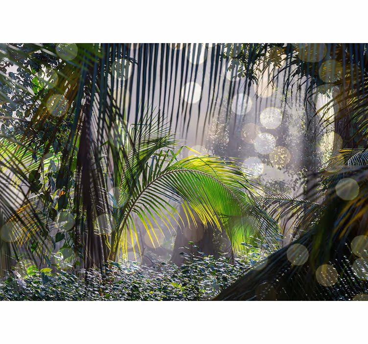 Fotomural selva escena de vegetación exuberante - TenVinilo