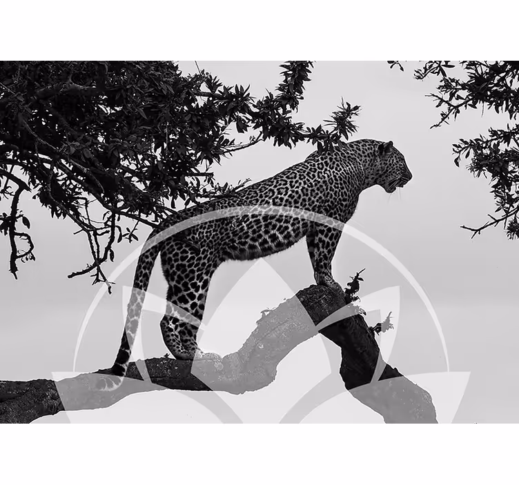 Fotomural animales leopardo en el árbol - TenVinilo