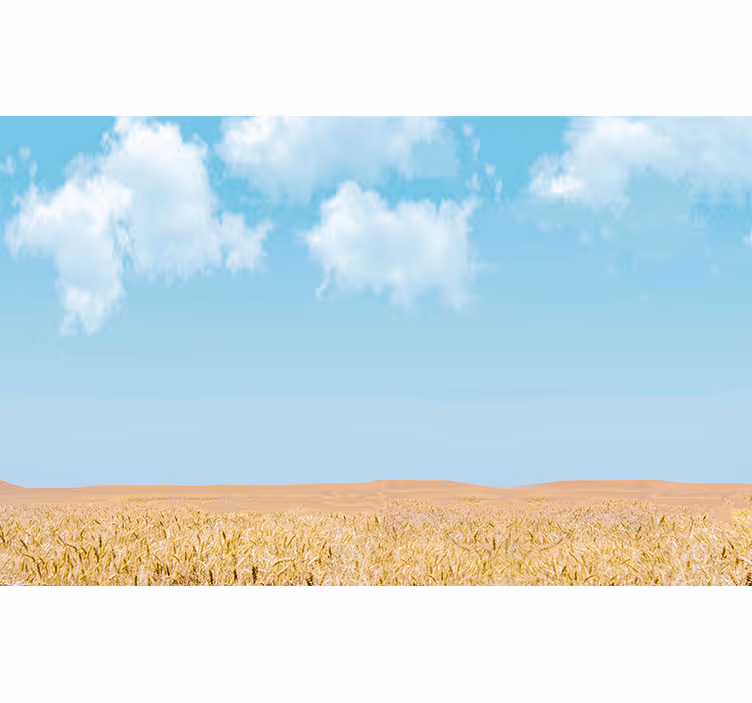 Papel pintado paisaje cielo y trigo - TenVinilo