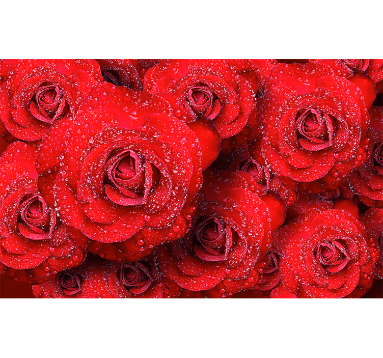 Fotomural rosas rojas en flor - TenVinilo
