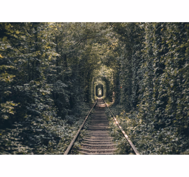 Papel pintado paisaje sendero del túnel forestal - TenVinilo