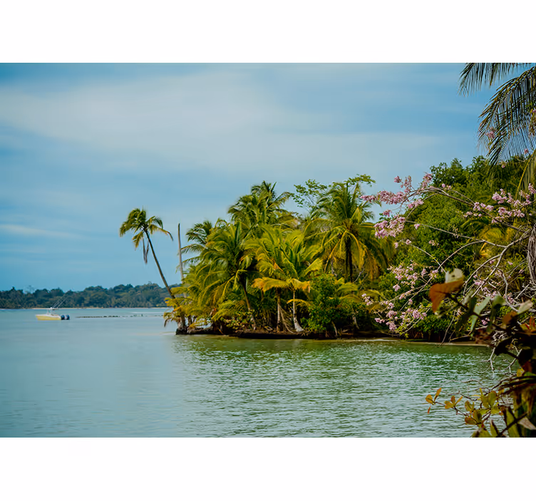 Fotomural naturaleza oasis en una isla tropical - TenVinilo