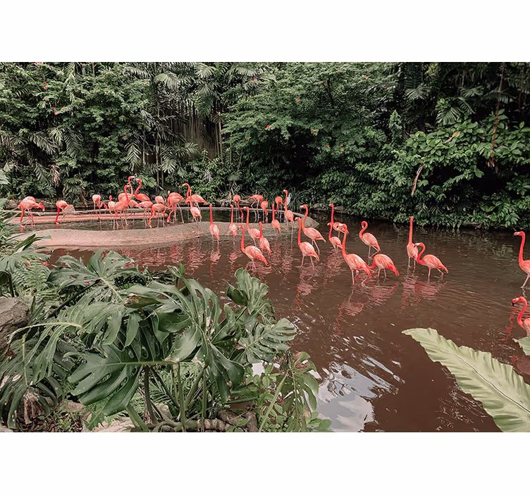 Fotomural animales flamencos junto al agua - TenVinilo
