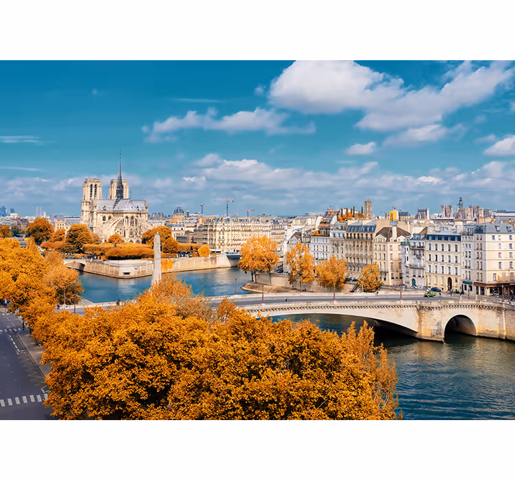 Fotomural parís vista de otoño de notre dame - TenVinilo
