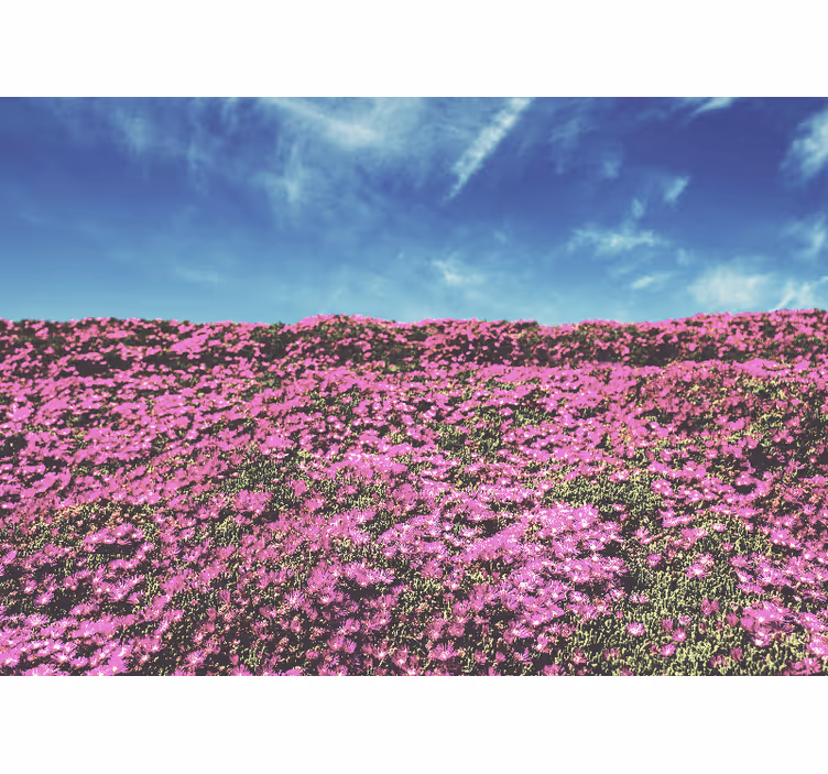 Mural de pared flores rosas de color rosa vibrante - TenVinilo