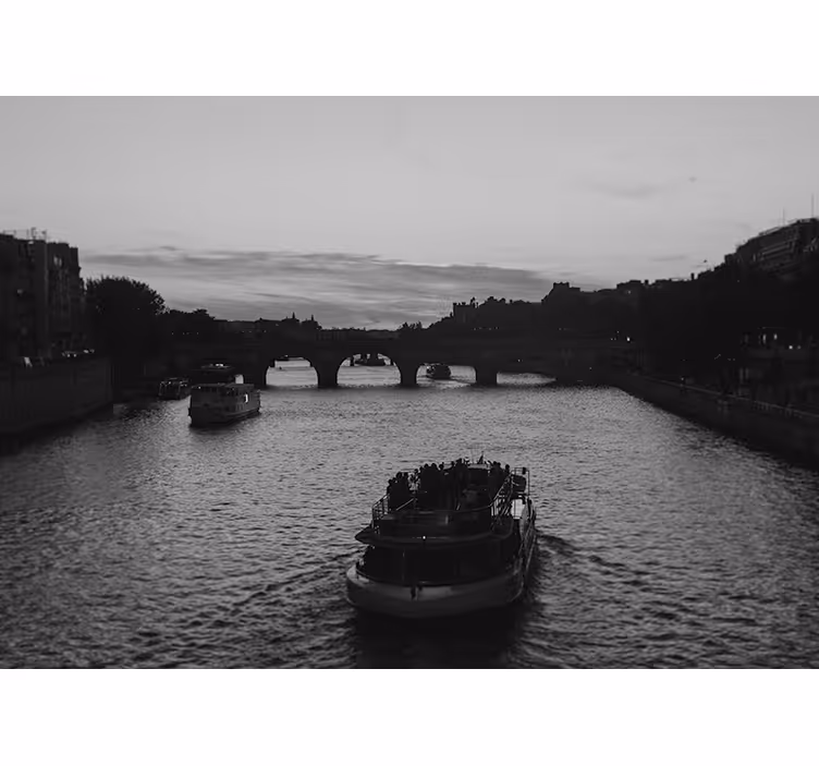 Fotomural ciudad vista del río de parís - TenVinilo