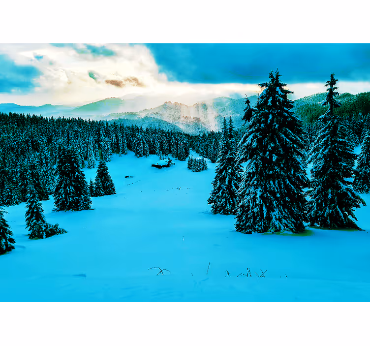 Papel pintado paisaje bosque de pinos nevados - TenVinilo