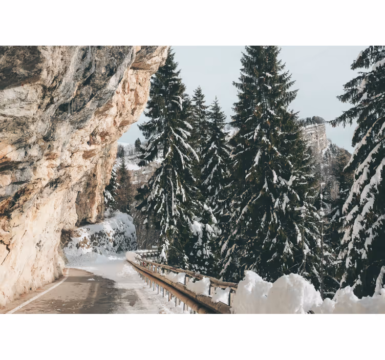 Papel pintado paisaje escenario de pinos invernales - TenVinilo