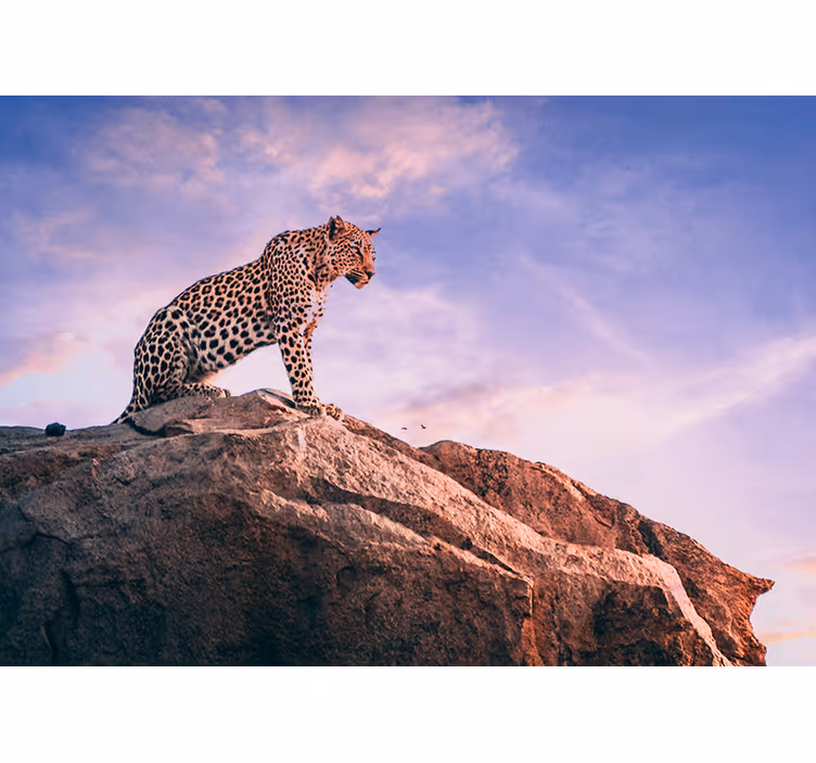 Fotomural animales leopardo en la roca - TenVinilo