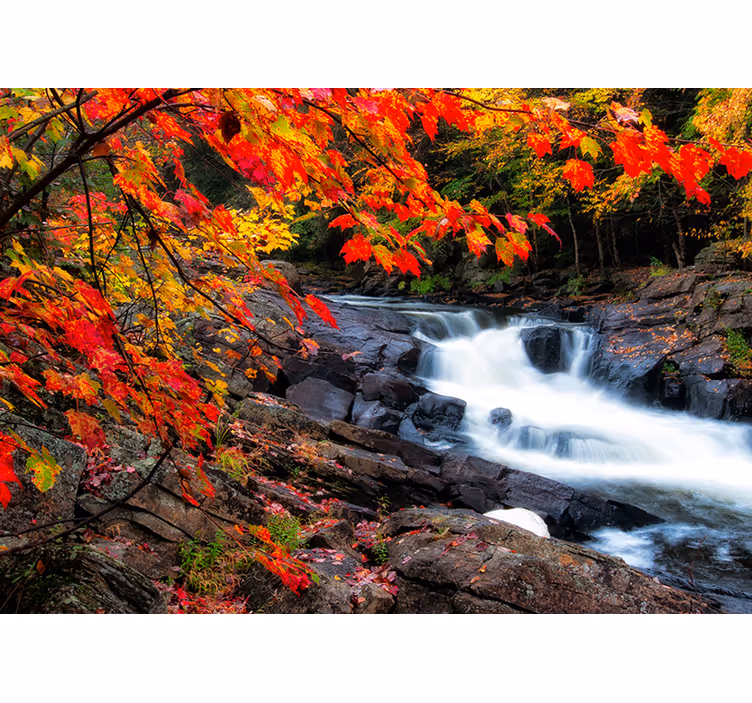 Papel pintado bosque paisaje de cascada en otoño - TenVinilo