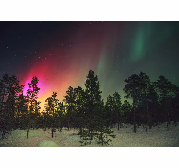 Fotomural naturaleza exhibición de auroras boreales - TenVinilo